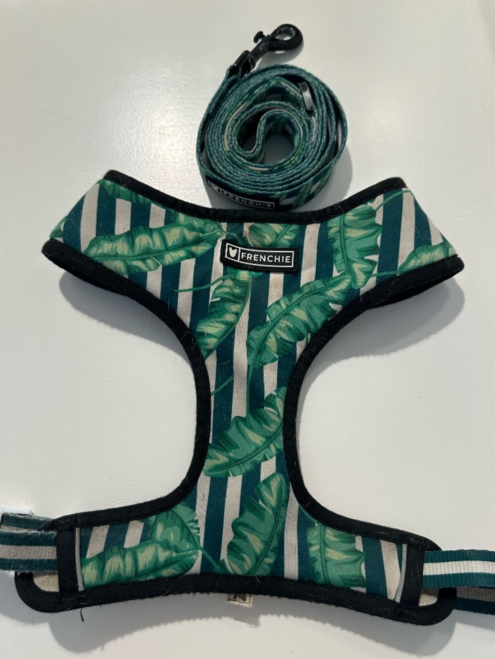 Frenchie Bulldog Reversible Dog Harness & Dual Print Leash - Palms Print